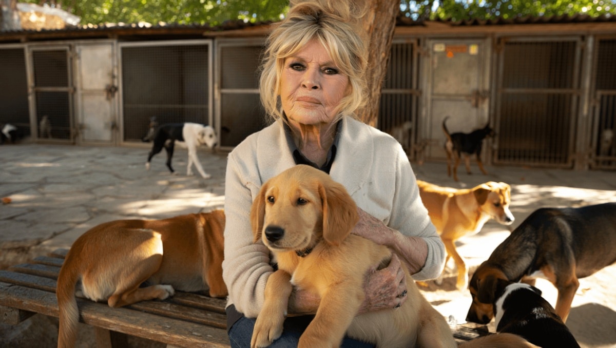 Brigitte Bardot’s Last Social Media Post Before Her Death