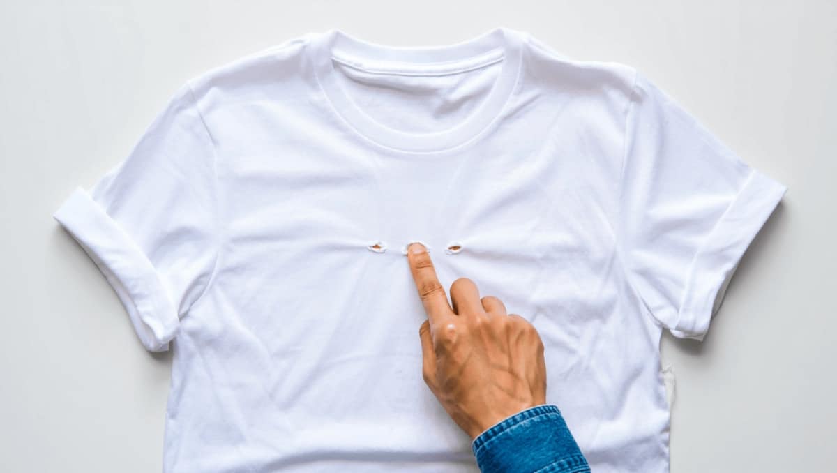 
                                People are only just finding out what makes those tiny holes in the front of a t-shirt                            